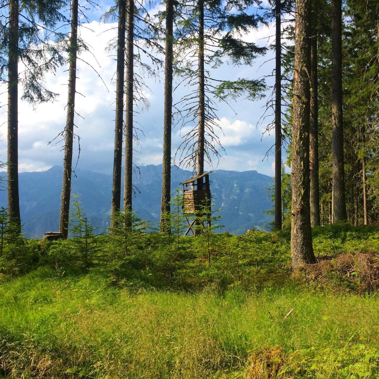Berggasthof Scharfetter Hotel Хаус им Енщал Екстериор снимка